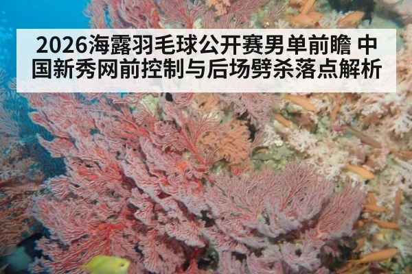 2026海露羽毛球公开赛男单前瞻 中国新秀网前控制与后场劈杀落点解析